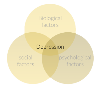 Biopsychosocial model diagram