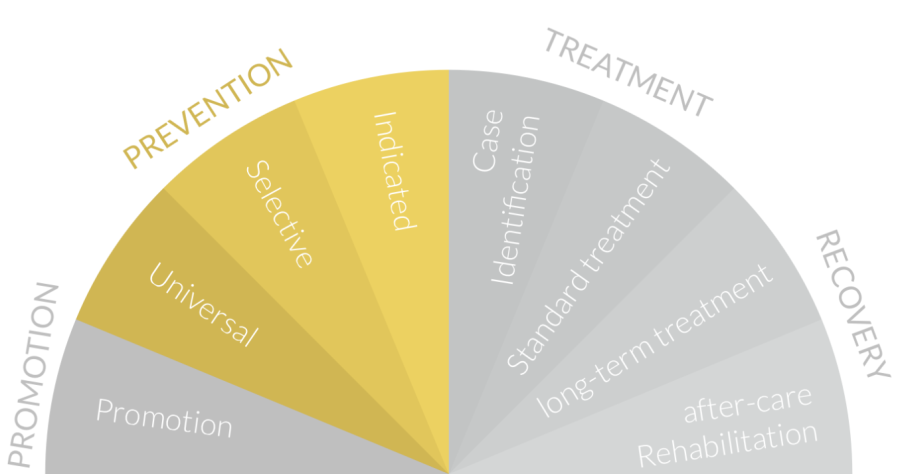 Prevention model diagram